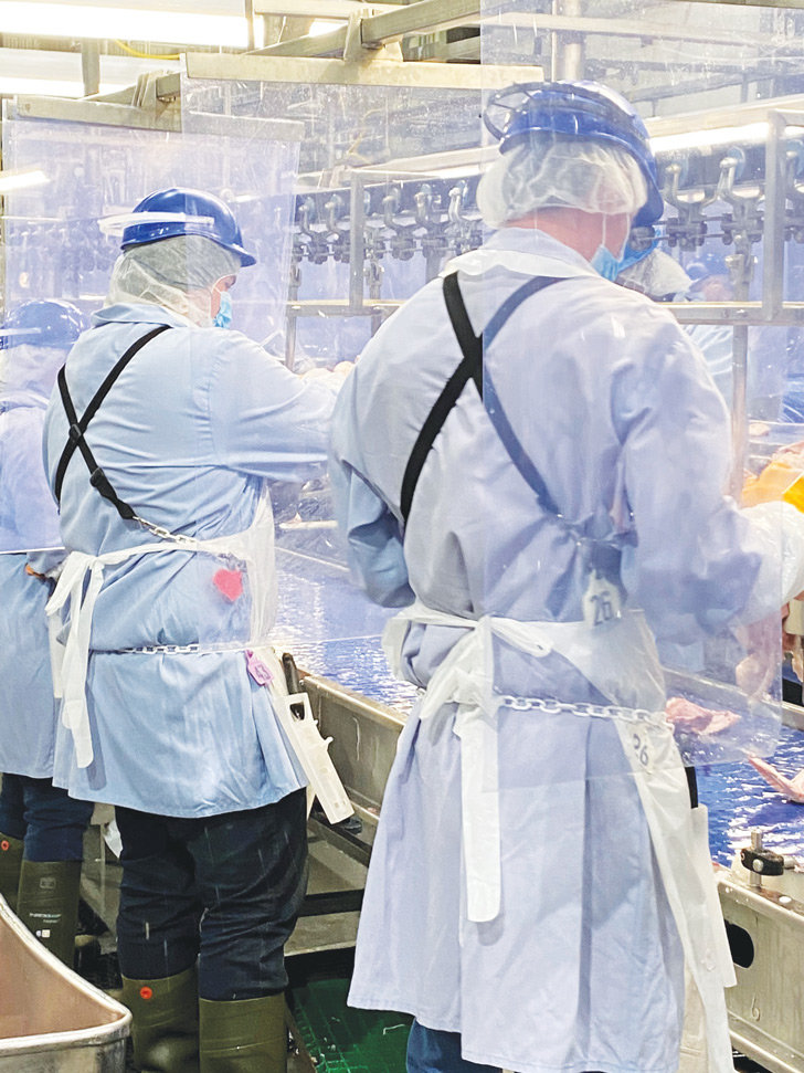 Featured image for “70×7 Life Recovery”